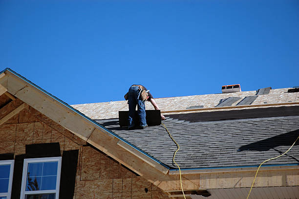 Best Roof Moss and Algae Removal  in Saybrook On The Lake, OH