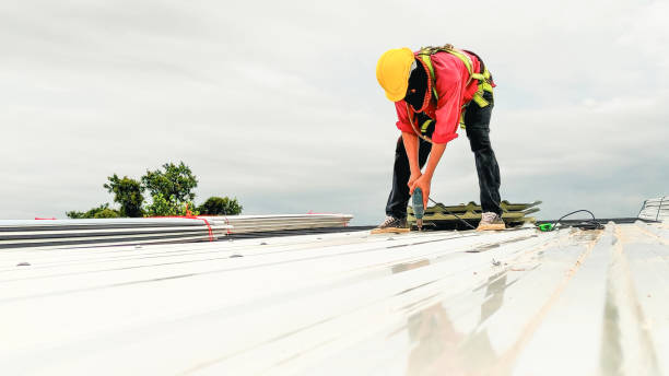 Best Roof Maintenance and Cleaning  in Saybrook On The Lake, OH