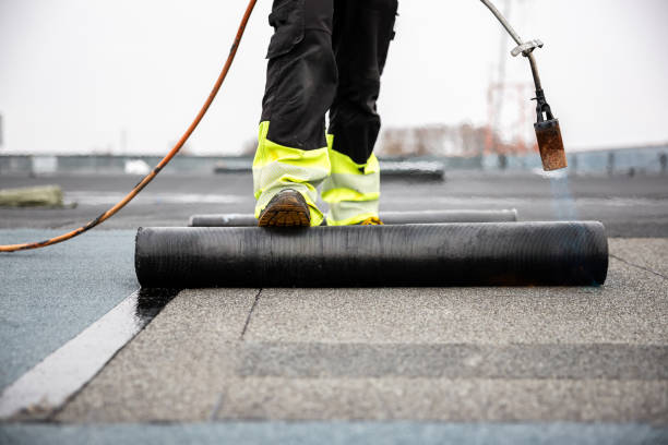 Best Roof Insulation Installation  in Saybrook On The Lake, OH